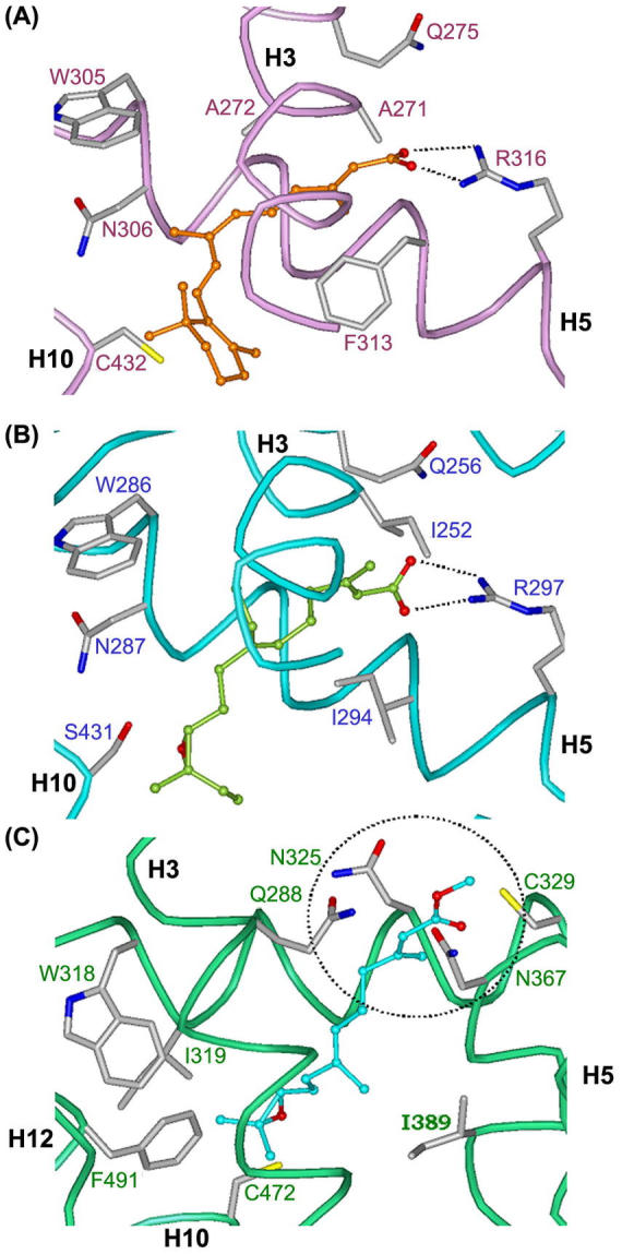 Figure 5.