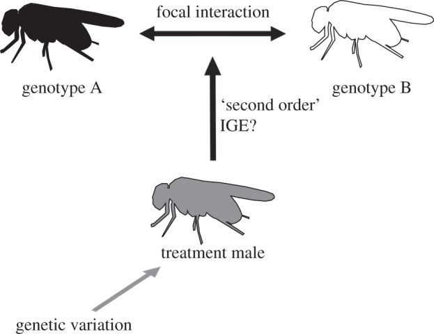 Figure 1.