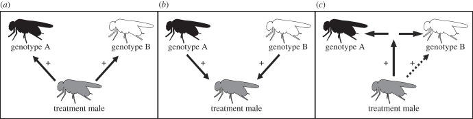 Figure 2.