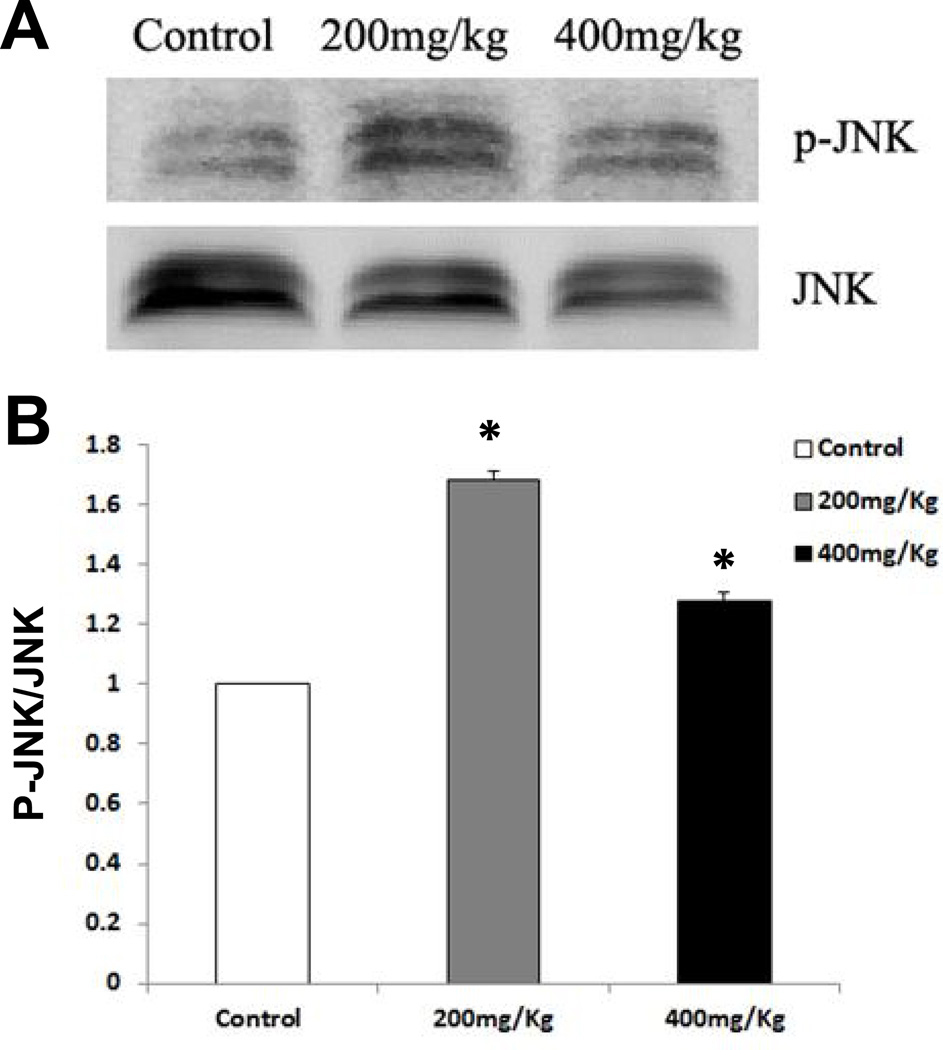 Fig. 8