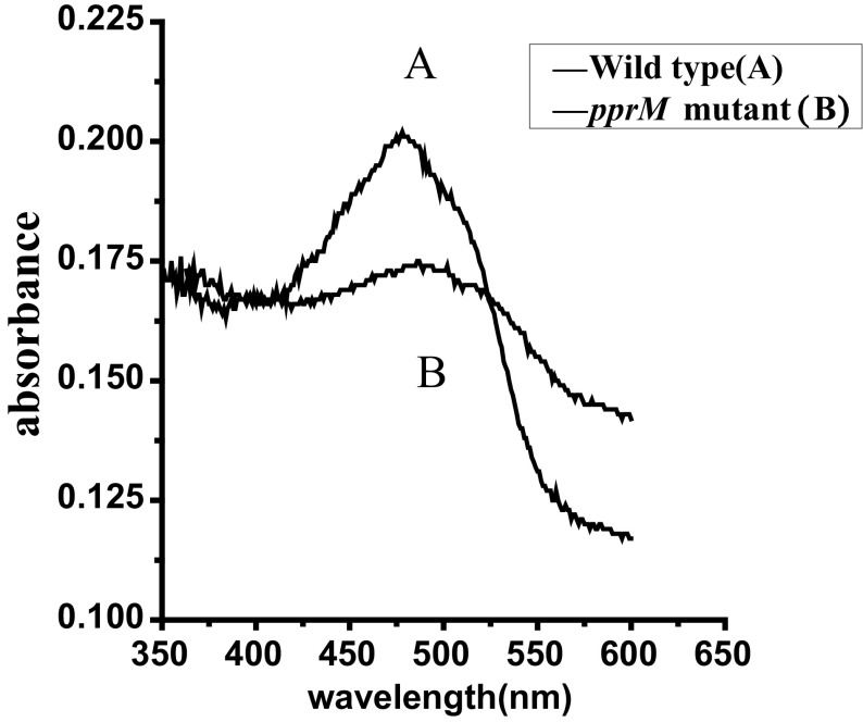 Fig. 3