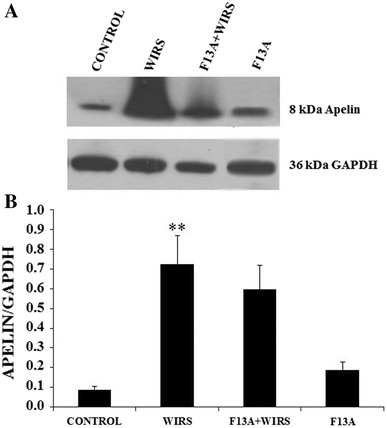 Fig. 2