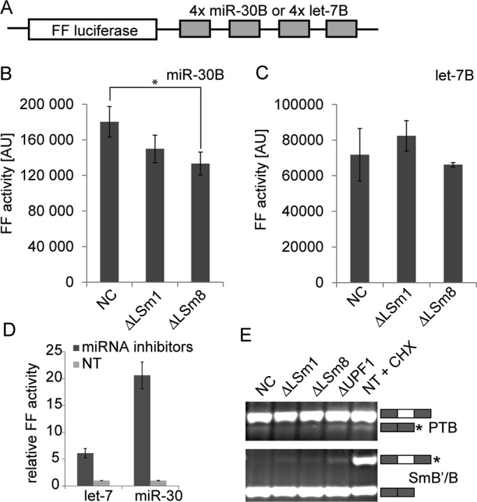 FIGURE 6: