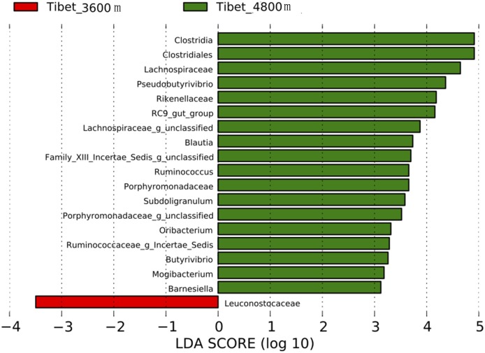 Fig 7