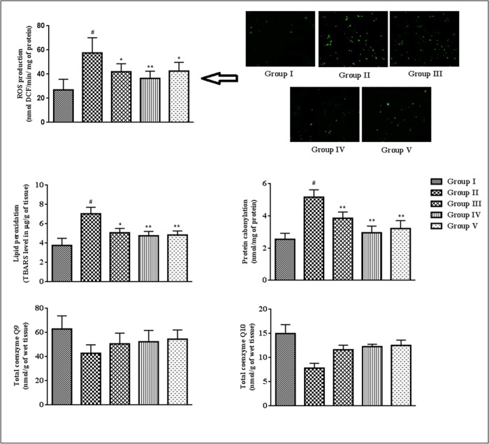 Fig 6