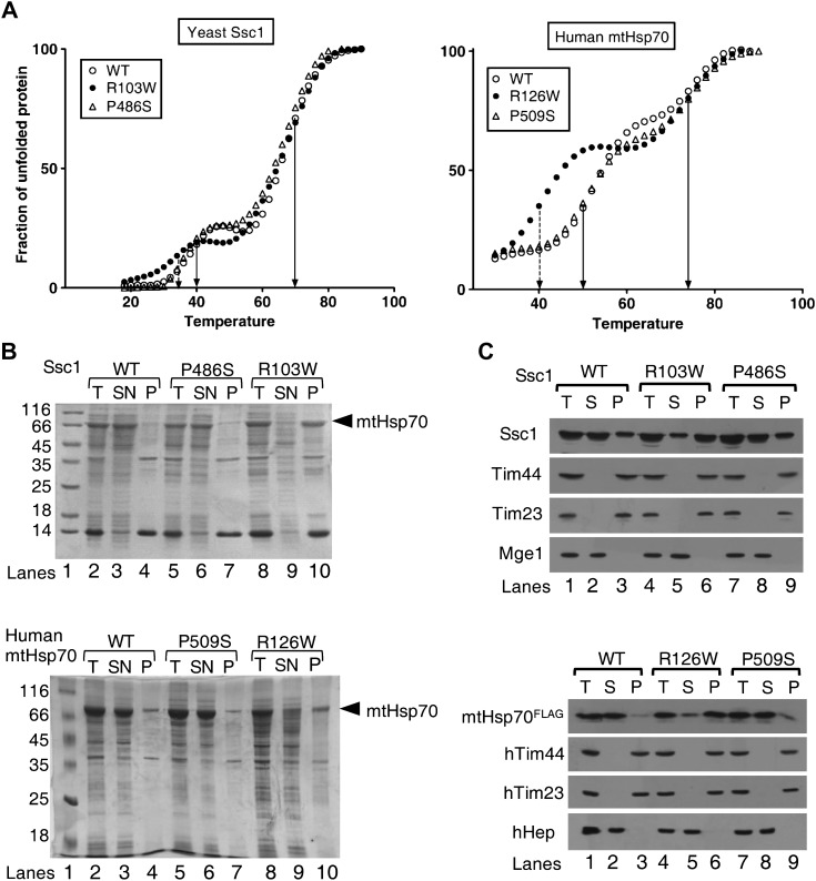 Figure 6.