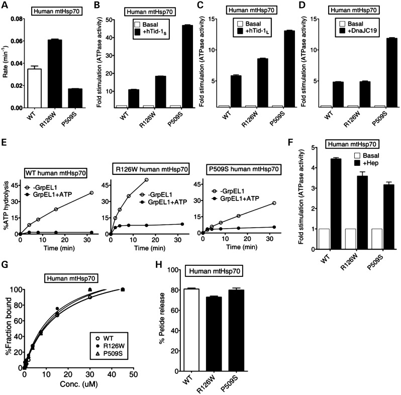 Figure 1.