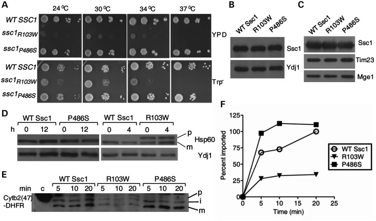 Figure 3.