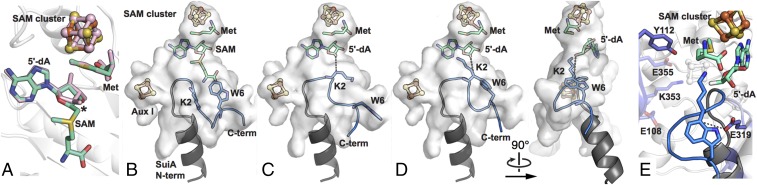 Fig. 4.