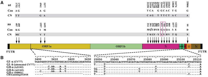 Figure 3.