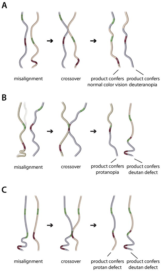 Fig.2