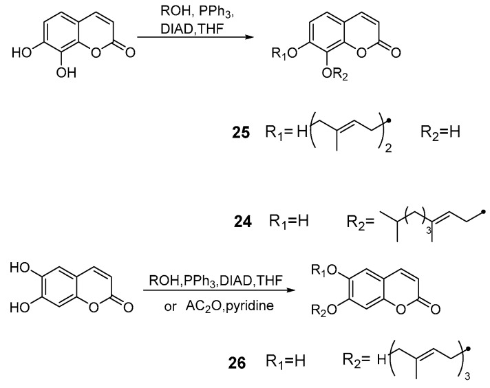 Scheme 11