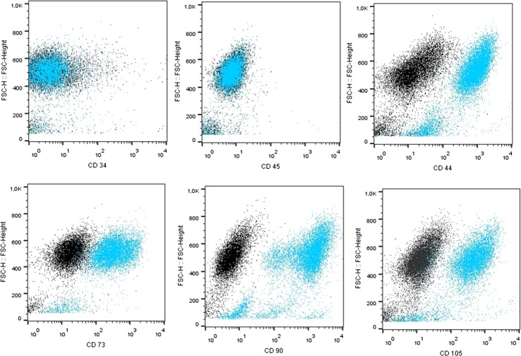 Figure 2