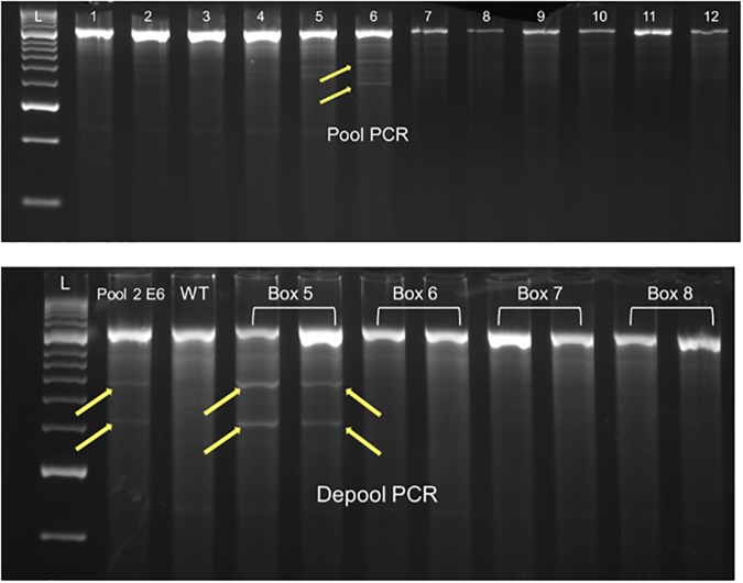 FIGURE 3