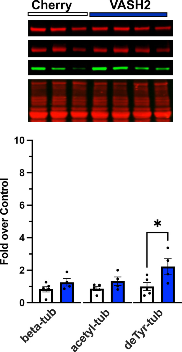 Figure 6.