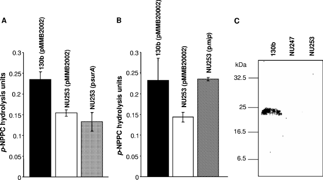 FIG. 3.