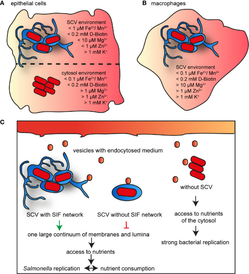 Figure 13