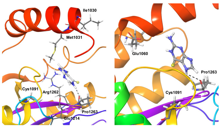 Figure 7