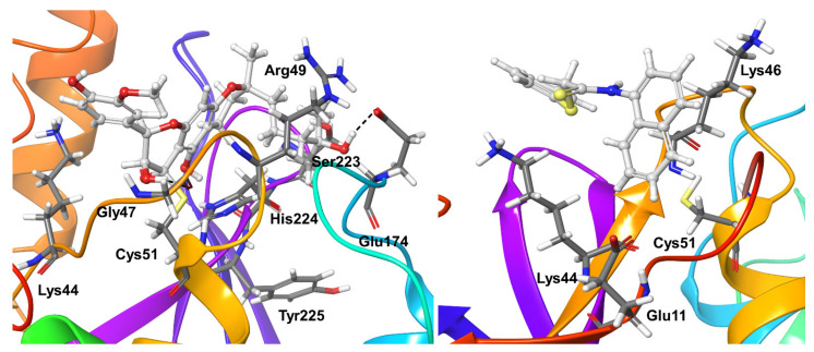 Figure 12