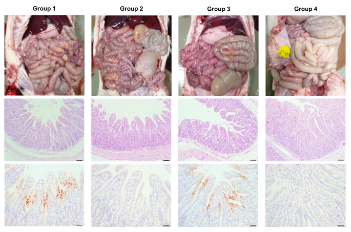 Fig. 4