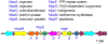 Figure 6: