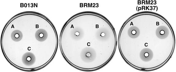 FIG. 2.