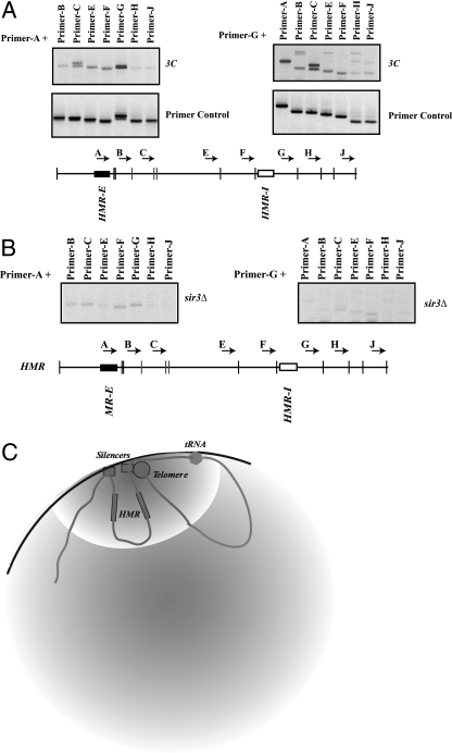 FIG. 5.