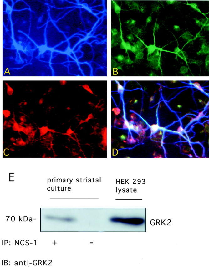 Fig. 9.