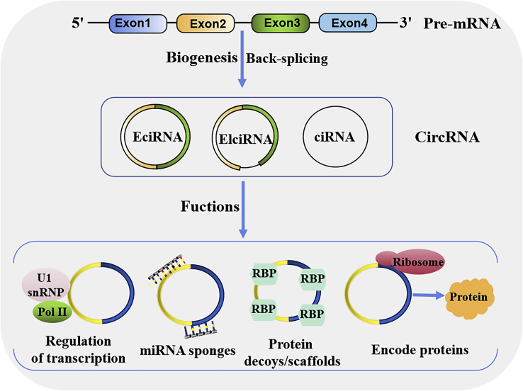 Figure 1