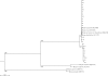 FIG. 3.