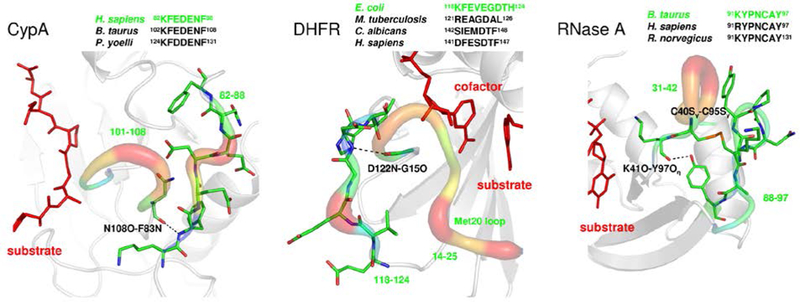 Figure 3: