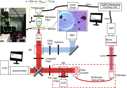 Fig. S1.