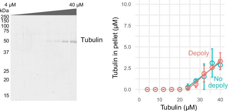 Figure 2—figure supplement 1.