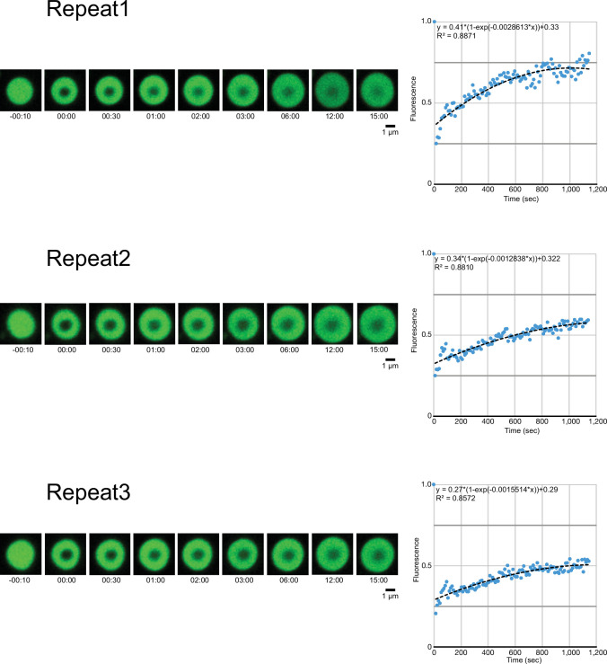 Figure 3—figure supplement 1.