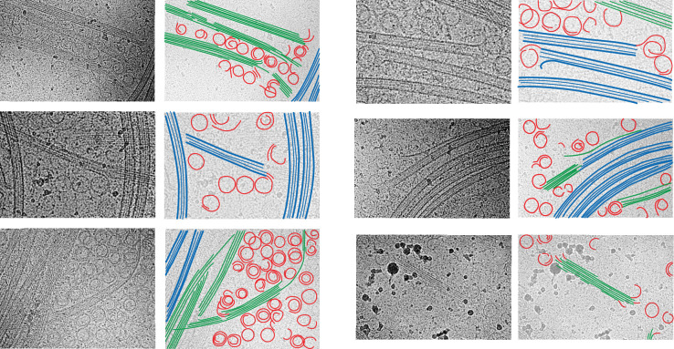 Figure 8—figure supplement 3.