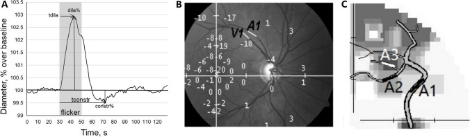 Fig. 2