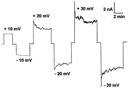 FIG. 4.