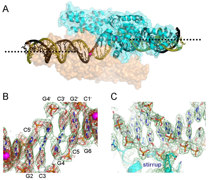 Figure 5