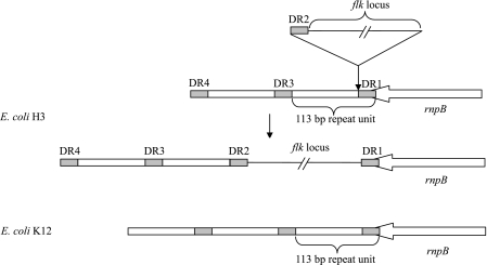 FIG. 2.