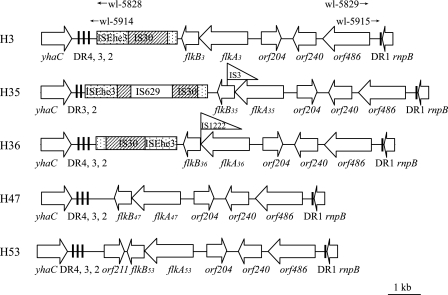 FIG. 1.