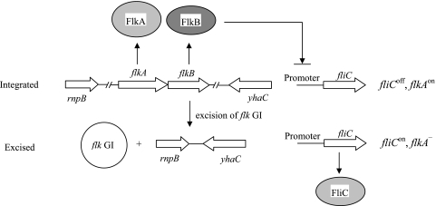 FIG. 6.