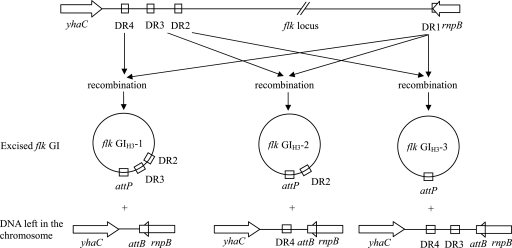 FIG. 4.