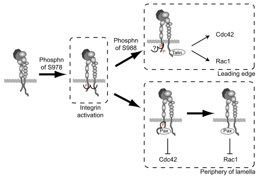 Fig. 9.