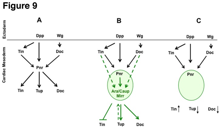 Figure 9