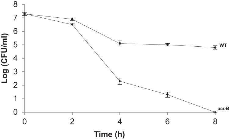 Fig 5