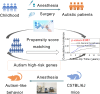 Graphical abstract