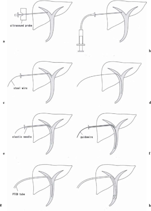 Fig. 14a–h