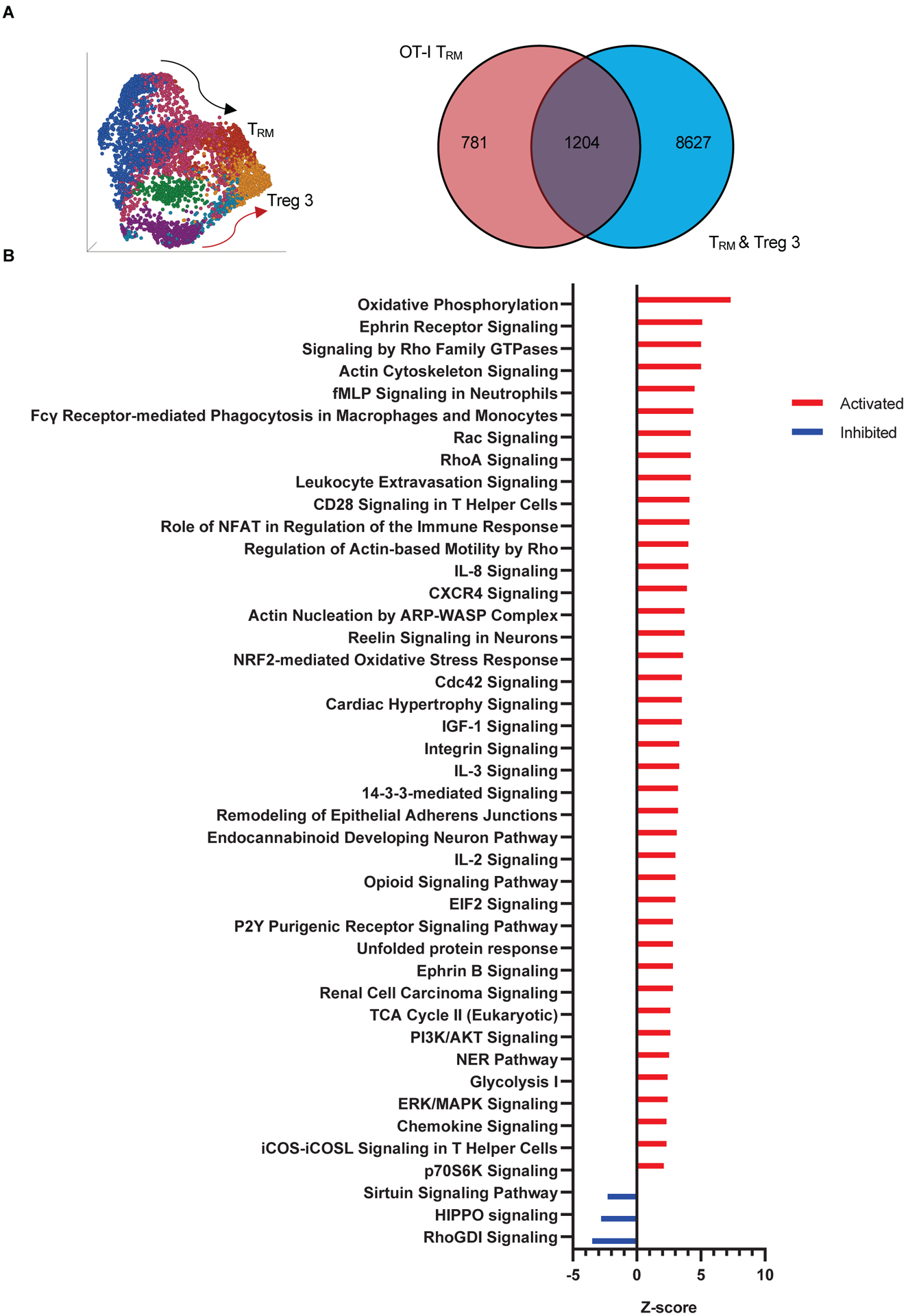 Fig 7.