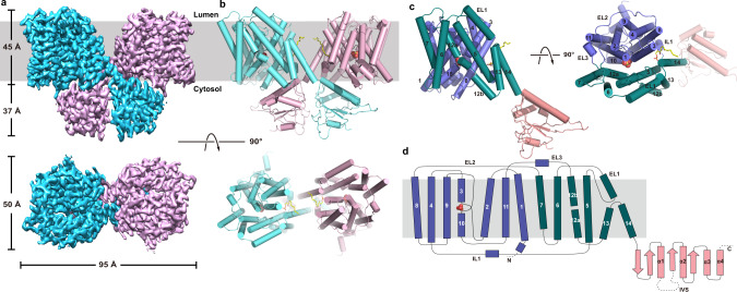 Fig. 2