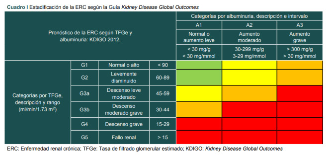 Cuadro I Estadificación de la ERC según la Guía Kidney Disease Global Outcomes.